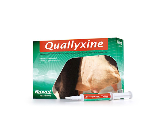 QUALLYXINE LACTAÇÃO