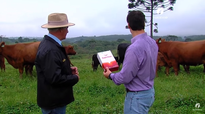 reportagem-fazenda-renascenca