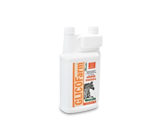 GLICOFARM MASTER